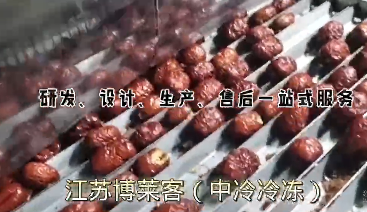 真空冷冻干燥设备生产~红枣片